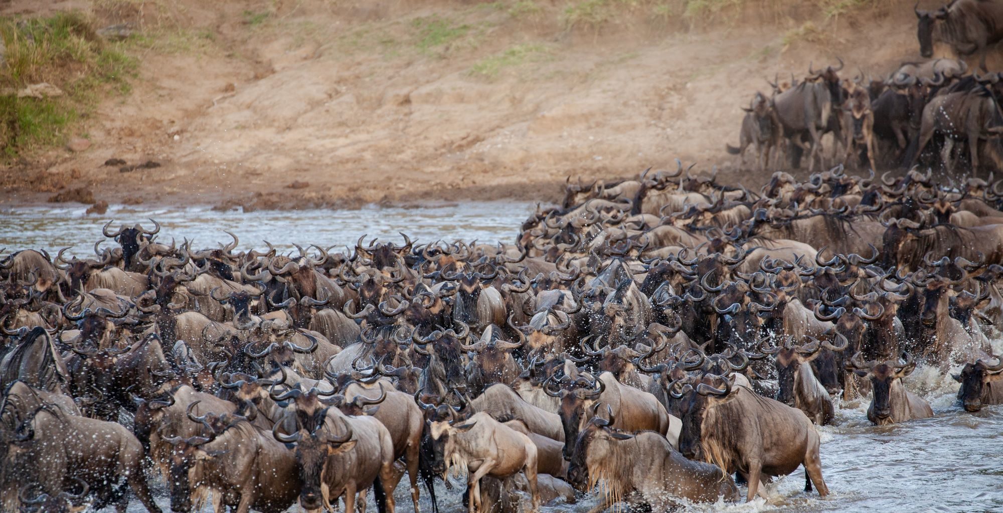 Masai Mara