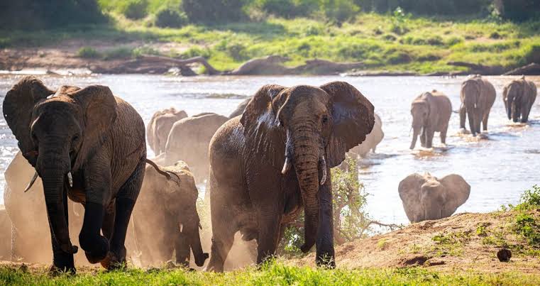 Samburu and Laikipia